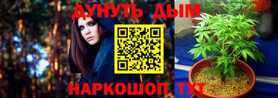 индика Гусь-Хрустальный