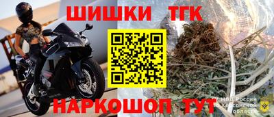 эйфоретик Гусев
