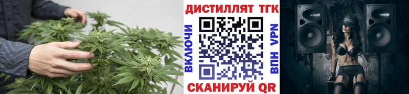ТГК концентрат ОМГ ОМГ рабочий сайт Муравленко