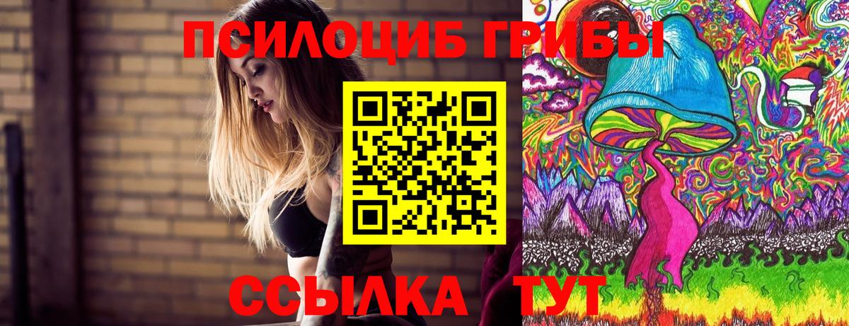 Псилоцибиновые грибы Cubensis Муравленко